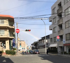 春のにわか雨