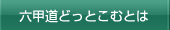 六甲道どっとこむとは？