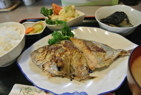 okadaIMG_5574.jpg