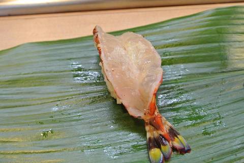 souIMG_5512.jpg