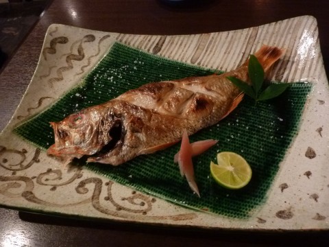P1010267mikura_ks.jpg