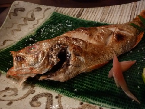 P1010268mikura_ks.jpg