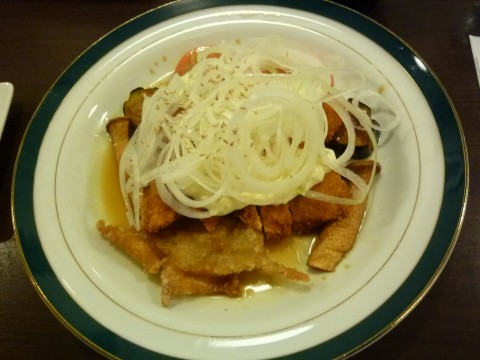 P1020306yamanekoken_ks.jpg
