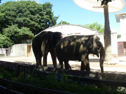 P1040537_ks.jpg