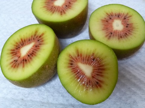 P1010340kiwi_ks.jpg