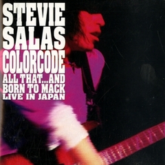 Stevie Salas Live In Japan