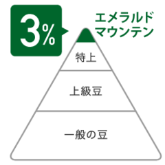 SALE 最終日