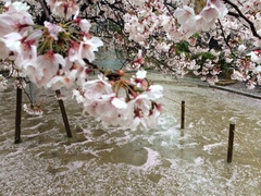 雨の日は…