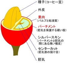 こんなん出ましたけど…