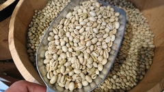インド産コーヒー豆