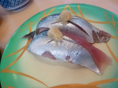 P1000561bote_ks.jpg