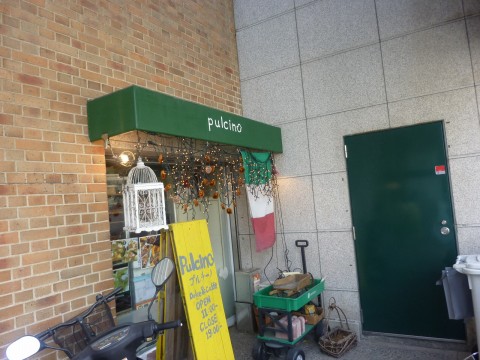 P1010625pulcino_ks.jpg