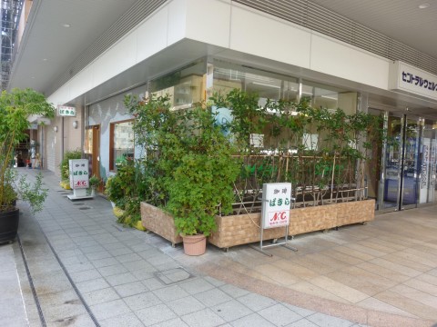 喫茶ぱきら「セントラル入り口横の喫茶店！」