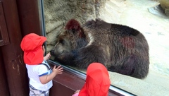 王子動物園