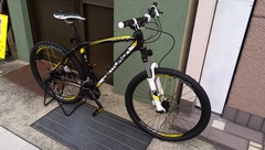 MTB 入荷しました