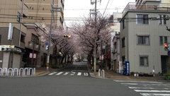 雨の４月1日