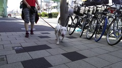 のぶおくん＼(^o^)／