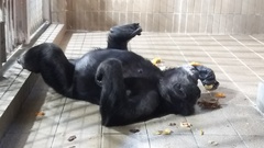 王子動物園