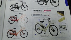 STEPCRUZ ステップクルーズ e