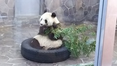 王子動物園☆