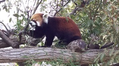 王子動物園☆