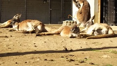 王子動物園☆