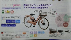 かわいい 電動アシスト自転車☆