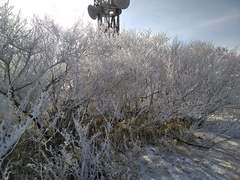 六甲山最高峰931m 電動アシスト自転車❗